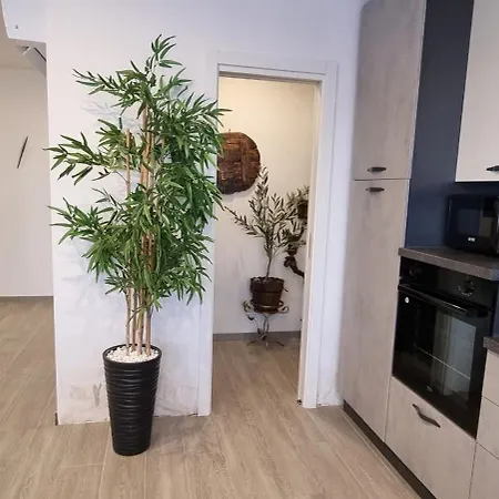 Viva Kaštel Novi